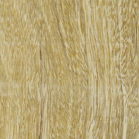 chapa de madera de framiré de color pardo amarillento con alguna ligera tonalidad verdosa