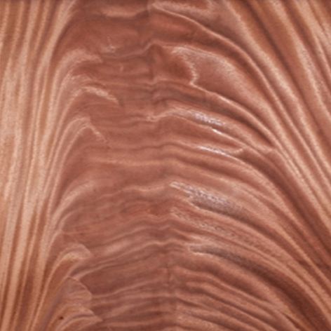 Chapa de madera de palma de caoba