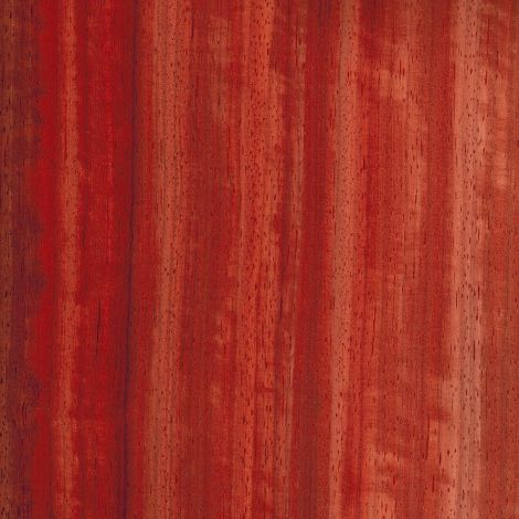 chapa de madera de coral o palo rojo de color rojo con veta recta y marcada