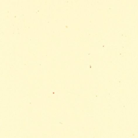 acetato de celulosa color marfil