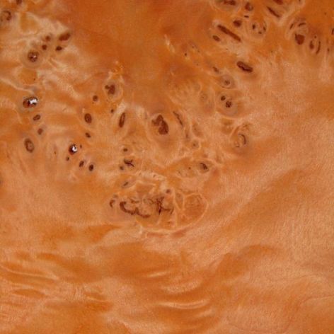Chapa de raíz teñida de naranja