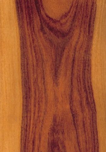 Madera de palo violeta de color marrón violáceo