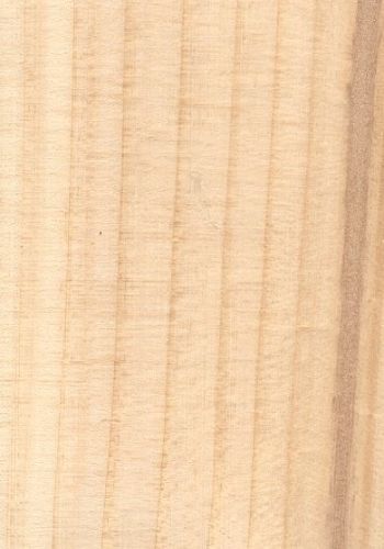 madera de pino sitka de color crema rosado pálido