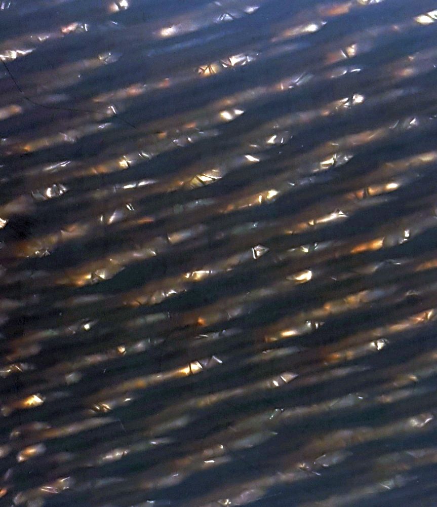 imagen de acetato de celulosa tipo carey