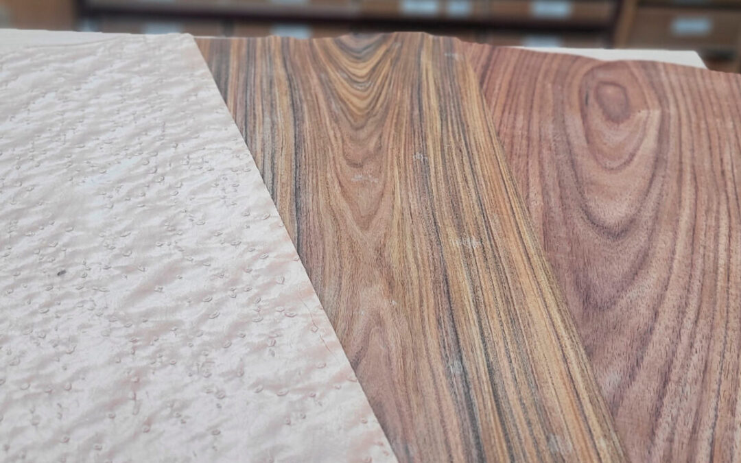 Chapas de madera: guía completa para elegir el tipo y especie correcta